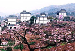 旅游地產(chǎn)策劃與開發(fā)模式，不只有度假地產(chǎn)和文旅小鎮(zhèn)